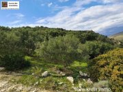 Pitsidia Süd Kreta, Pitsida Baugrundstück mit Meerblick ca.5500m² Grundstück kaufen